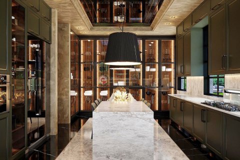 4+1 Wohnung  in Istanbul, Türkei Nr. 100662 - 19
