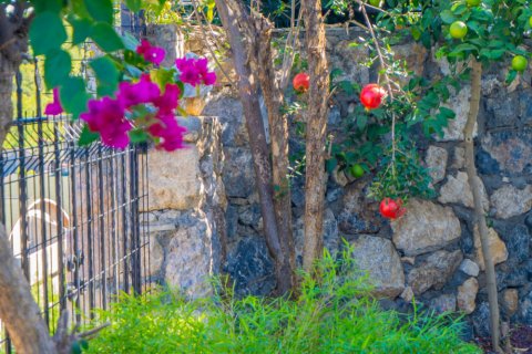 Daire   Alanya, Antalya, Türkiye №213307 - 26