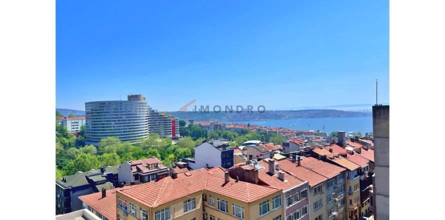 2+1 Lejlighed i Besiktas, Istanbul, Tyrkiet Nr. 213312