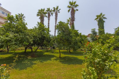 Apartment for sale  in Mahmutlar, Antalya, Turkey, 1 bedroom, 100m2, No. 211246 – photo 11