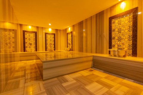 1+1 Leilighet  i Mahmutlar, Antalya, Tyrkia Nr. 211239 - 12