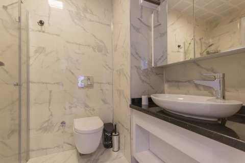 1+1 Wohnung in Mahmutlar, Antalya, Türkei Nr. 211241 - 21