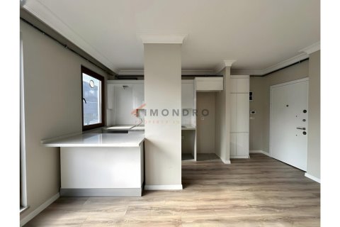 آپارتمان در Besiktas، Istanbul ، ترکیه 2 خوابه ، 70 متر مربع. شماره 225227 - 6