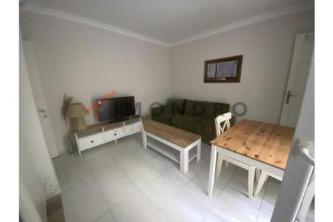 آپارتمان در Besiktas، Istanbul ، ترکیه 1 خوابه ، 55 متر مربع. شماره 225222 - 4