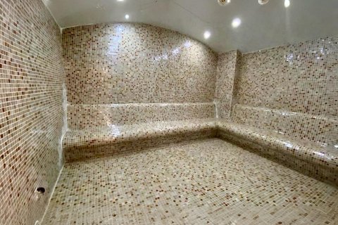 Daire 1+1 Mahmutlar, Antalya, Türkiye №218008 - 11