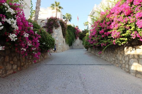 Villa i Alanya, Antalya, Turkiet Nr. 225313 - 3
