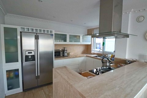 Villa i Alanya, Antalya, Turkiet Nr. 225313 - 14