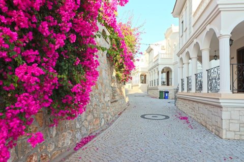 Villa i Alanya, Antalya, Turkiet Nr. 225313 - 5