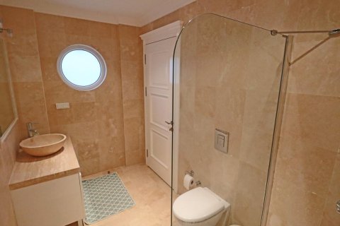 Villa i Alanya, Antalya, Turkiet Nr. 225313 - 26