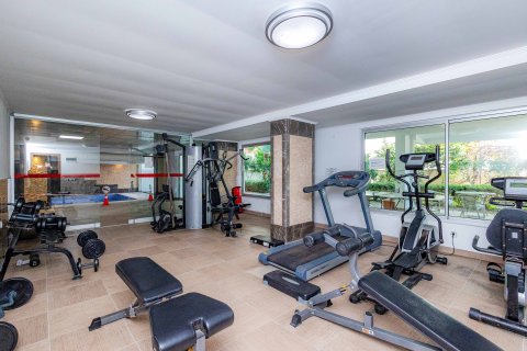 1+1 Wohnung  in Kestel, Antalya, Türkei Nr. 237811 - 17