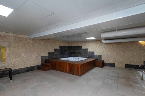 1+1 Wohnung  in Kestel, Antalya, Türkei Nr. 237811 - 19
