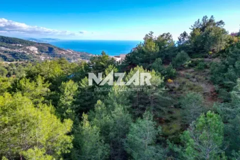 Daire Alanya, Antalya, Türkiye №215807 - 15