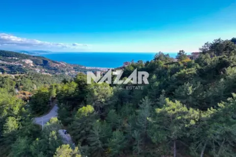 Daire Alanya, Antalya, Türkiye №215807 - 10