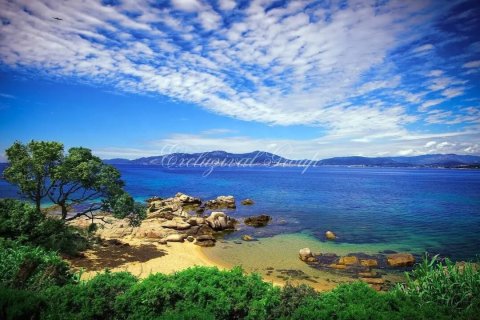 Tomt i Bodrum, Mugla, Tyrkia Nr. 221220 - 2