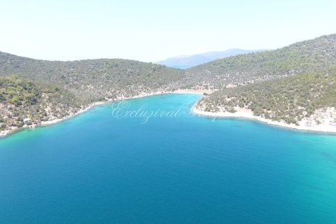 Land plot  in Bodrum, Mugla, Turkey No. 221221