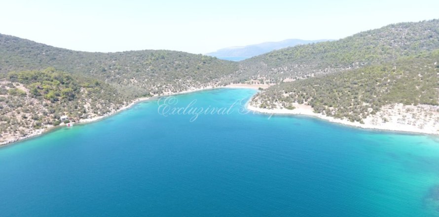 Tom  i Bodrum, Mugla, Tyrkiet Nr. 221221
