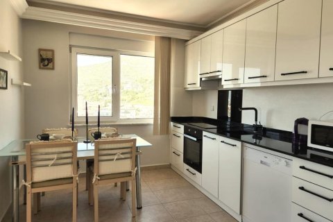 1+0 Lägenhet  i Cikcilli, Antalya, Turkiet Nr. 225134 - 4