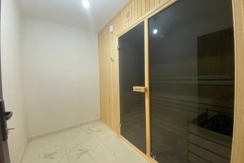 2+1 Lejlighed i Alanya, Antalya, Tyrkiet Nr. 213012 - 13