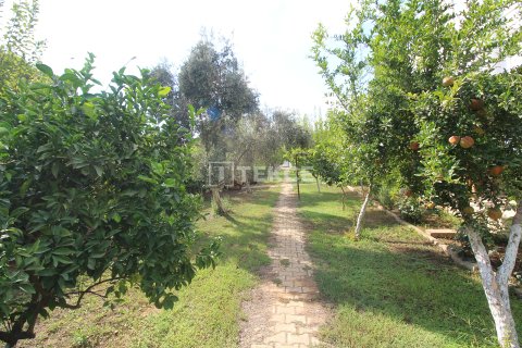 3+1 Villa  i Serik, Antalya, Turkiet Nr. 212065 - 5