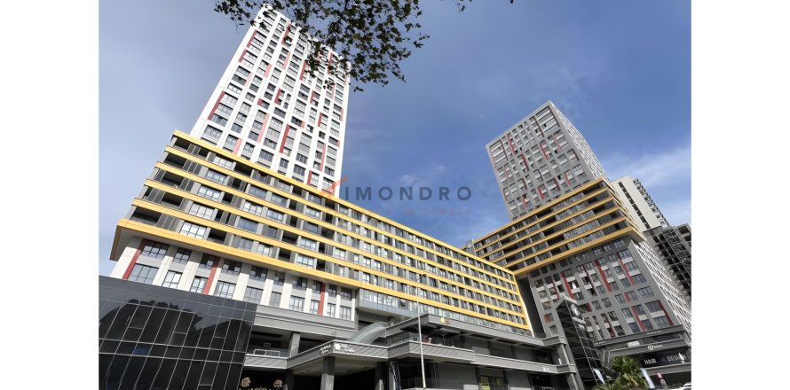 2+1 Leilighet i Kadikoy, Istanbul, Tyrkia Nr. 215221