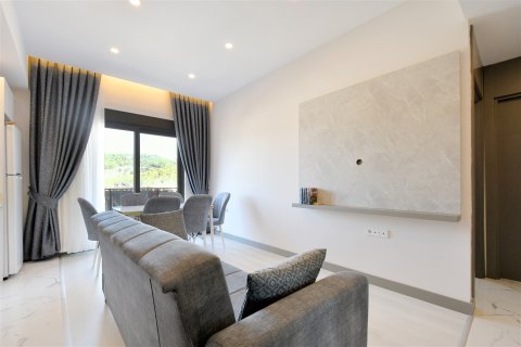 1+1 Wohnung in Alanya, Antalya, Türkei Nr. 237711 - 21