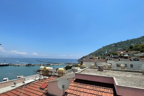 هتل در  Alanya ، ترکیه 227 متر مربع.  شماره 213506 - 4