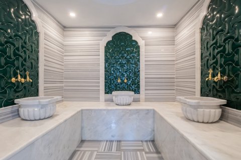 1+1 Leilighet  i Alanya, Antalya, Tyrkia Nr. 213504 - 22