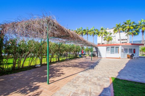 3+1 Wohnung in Oba, Antalya, Türkei Nr. 217931 - 19