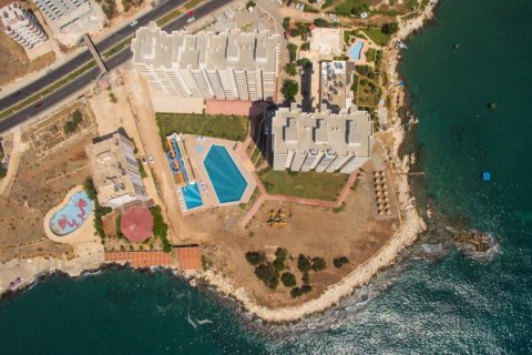 Daire Ayaş, Ankara, Türkiye №136498 - 4