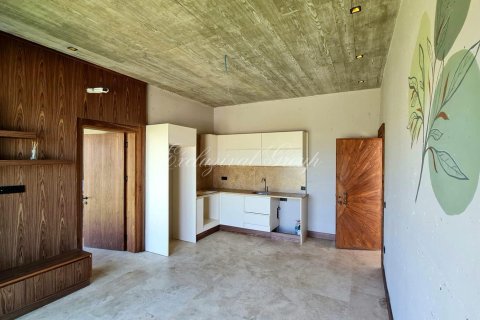 Villa for sale  in Bodrum, Mugla, Turkey, 4 bedrooms, 560m2, No. 232203 – photo 7