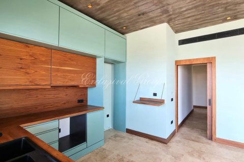 Villa for sale  in Bodrum, Mugla, Turkey, 4 bedrooms, 560m2, No. 232203 – photo 6