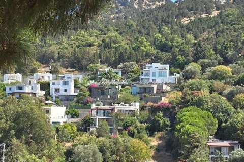 Villa for sale  in Bodrum, Mugla, Turkey, 4 bedrooms, 560m2, No. 232203 – photo 19