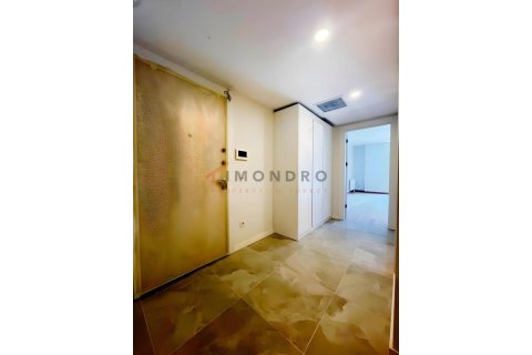 3+1 Wohnung in Kadikoy, Istanbul, Türkei Nr. 225191 - 22
