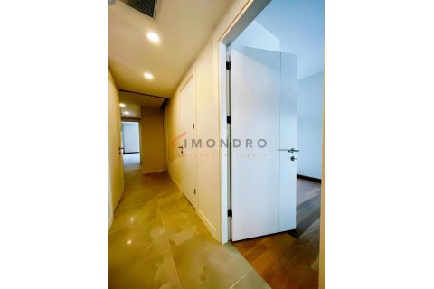 3+1 Wohnung in Kadikoy, Istanbul, Türkei Nr. 225191 - 19