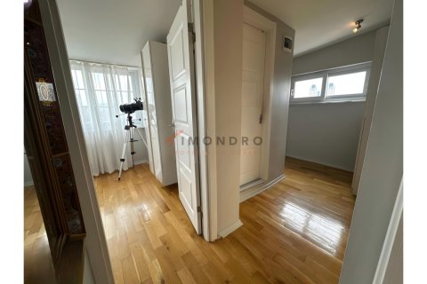 آپارتمان در Besiktas، Istanbul ، ترکیه 3 خوابه ، 100 متر مربع. شماره 225189 - 30