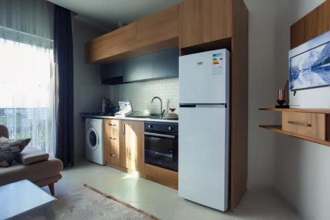Daire  1+1  Alanya, Antalya, Türkiye №228339 - 4