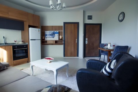 Daire  1+1  Alanya, Antalya, Türkiye №228339 - 5
