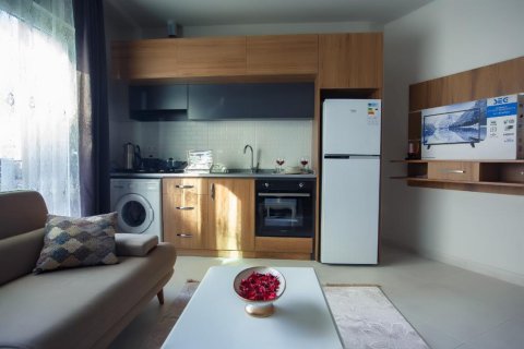 Daire  1+1  Alanya, Antalya, Türkiye №228339 - 20