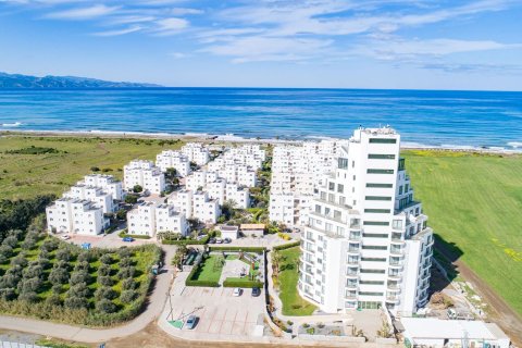 Daire 1+1 Gaziveren, Güzelyurt, №227041