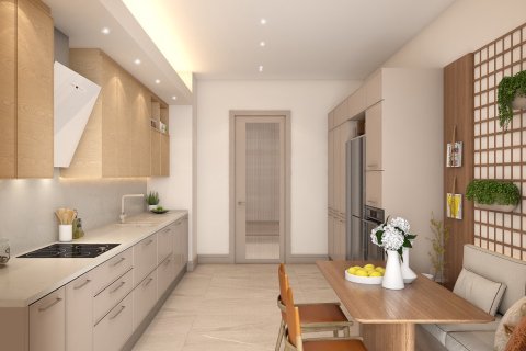 Leilighet i Eyup, Istanbul, Tyrkia Nr. 226369 - 26