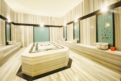 Daire  3+1  Alanya, Antalya, Türkiye №216617 - 21