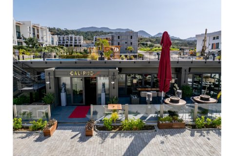 2+1 Wohnung in Esentepe, Girne, Nr. 212499 - 4