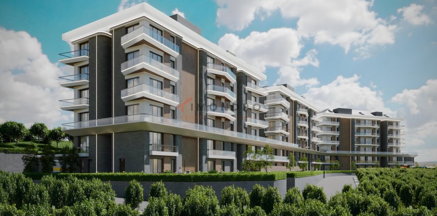 1+1 Lägenhet  i Eyup, Istanbul, istanbul, Turkiet Nr. 221515