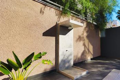 Продажа квартиры  в Аланье, Анталье, Турция 2 комн., 55м2, №213210 – фото 22
