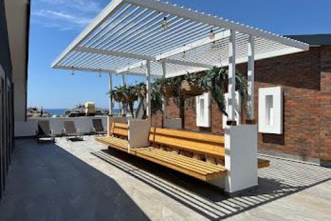 Продажа квартиры  в Аланье, Анталье, Турция 2 комн., 55м2, №213210 – фото 19