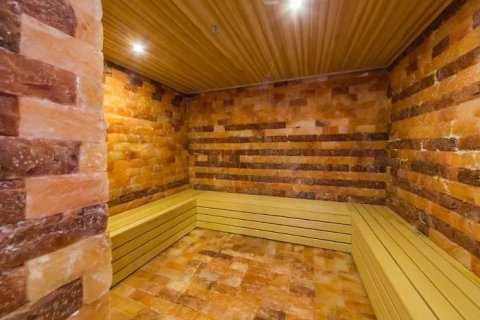 Daire 1+1 Kestel, Antalya, Türkiye №218116 - 16