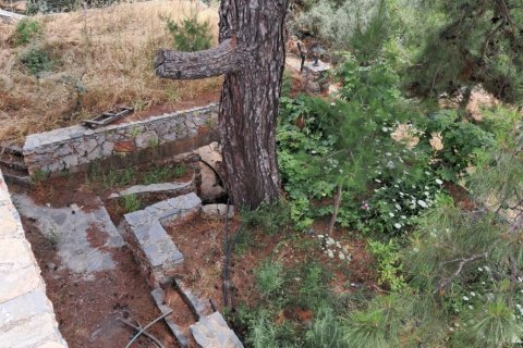 3+1 Villa i Oba, Antalya, Tyrkiet Nr. 227511 - 10