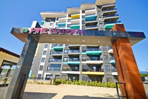 1+1 Wohnung  in Alanya, Antalya, Türkei Nr. 216474 - 26