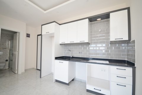 1+1 Wohnung  in Alanya, Antalya, Türkei Nr. 216474 - 11