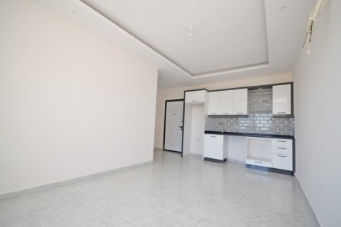 1+1 Wohnung  in Alanya, Antalya, Türkei Nr. 216474 - 8